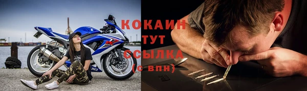 тгк Бородино
