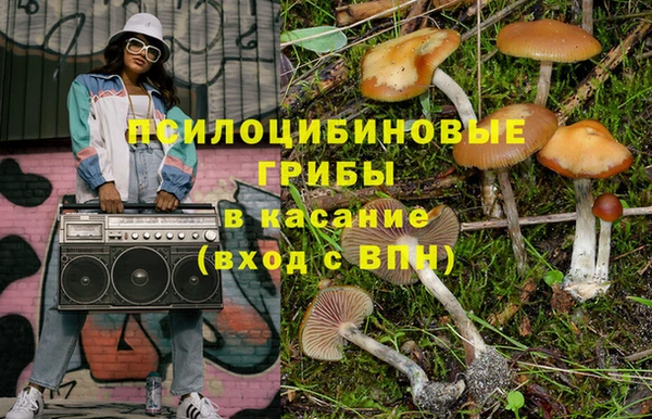 тгк Бородино