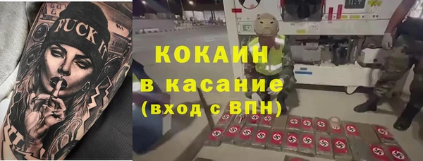 тгк Бородино