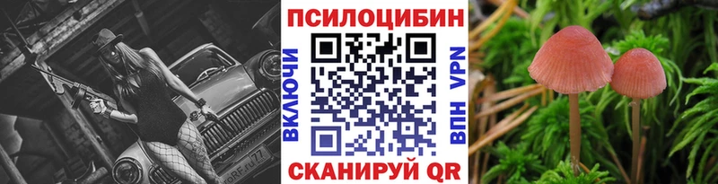 МЕГА ссылка  Баксан  Галлюциногенные грибы Cubensis 